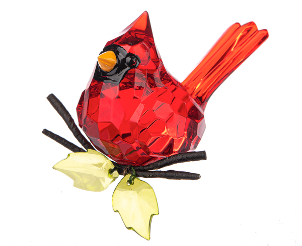 Elegant Sitting Cardinal