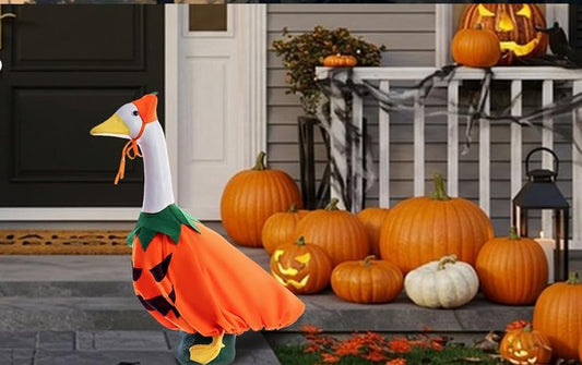 Halloween Goose Outfit