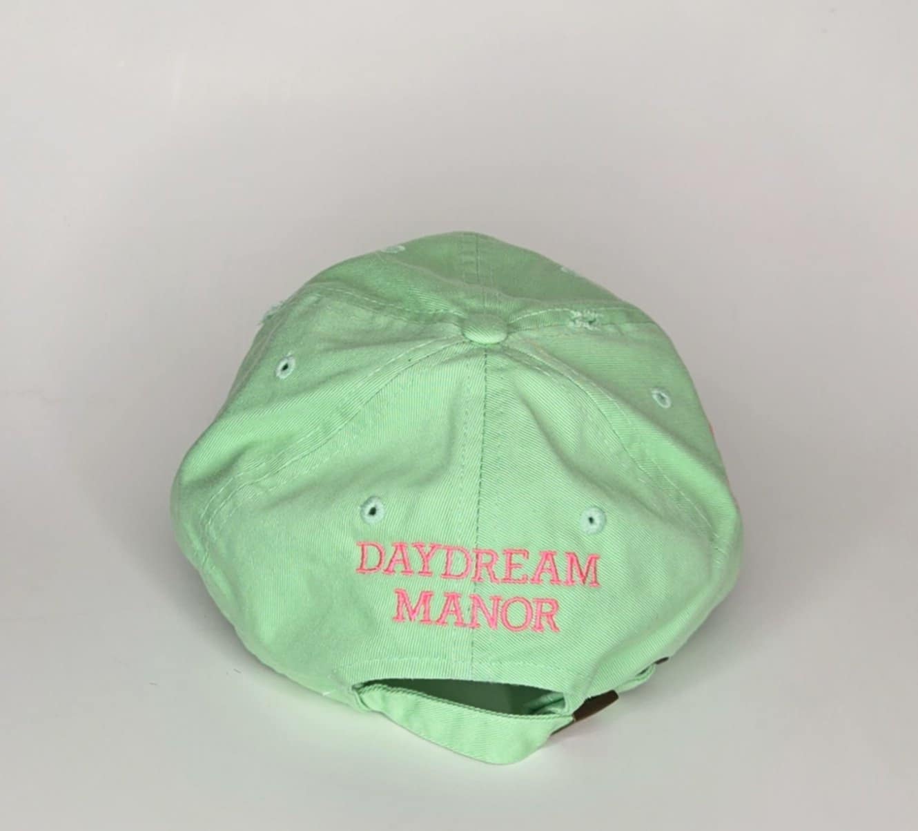 Dragonfly Whimsy- Baseball Hat- Pistachio